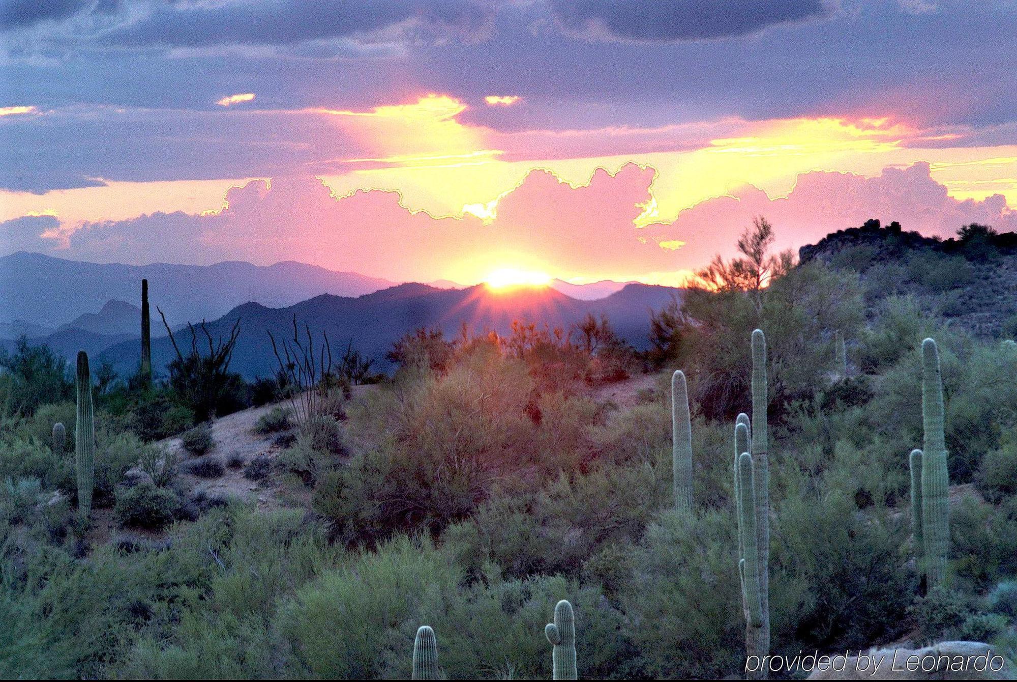 Hampton Inn Phoenix - Biltmore Dış mekan fotoğraf